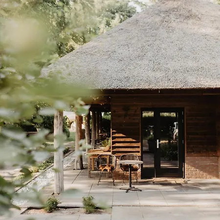 B&B Mollenvlied op de Veluwe-2